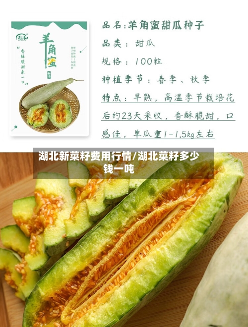 湖北新菜籽费用行情/湖北菜籽多少钱一吨