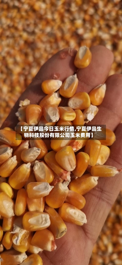 【宁夏伊品今日玉米行情,宁夏伊品生物科技股份有限公司玉米费用】