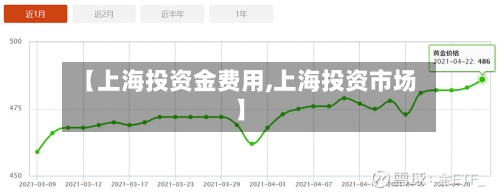 【上海投资金费用,上海投资市场】-第3张图片