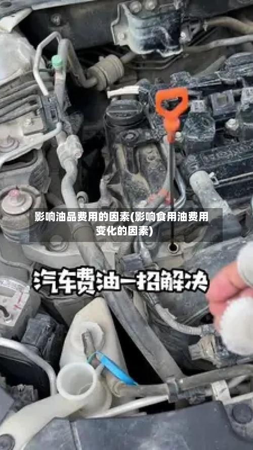影响油品费用的因素(影响食用油费用变化的因素)-第2张图片