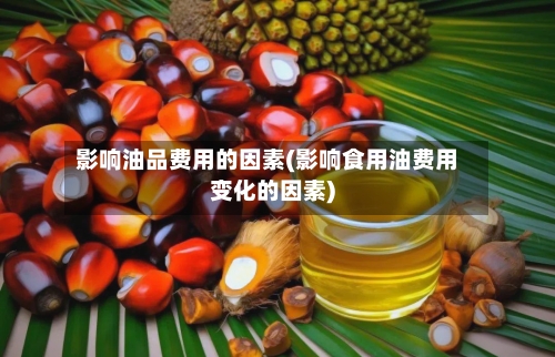影响油品费用的因素(影响食用油费用变化的因素)
