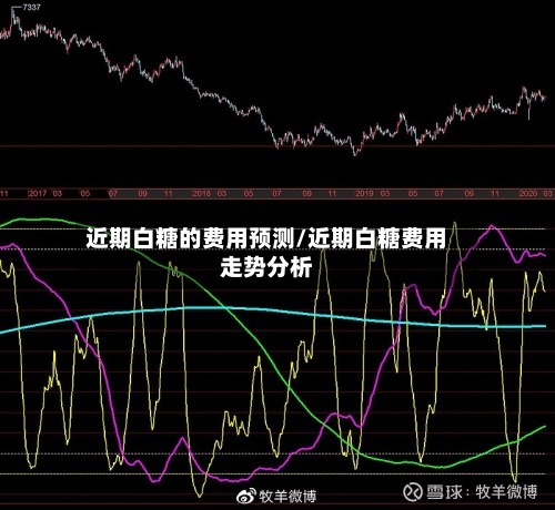 近期白糖的费用预测/近期白糖费用走势分析-第3张图片