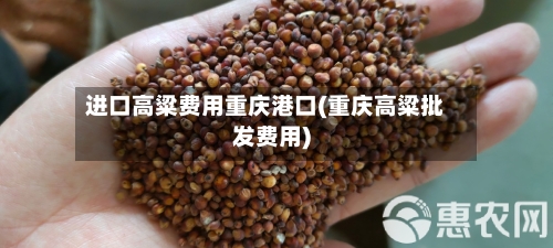 进口高粱费用重庆港口(重庆高粱批发费用)-第3张图片