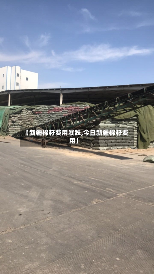 【新疆棉籽费用暴跌,今日新疆棉籽费用】-第3张图片