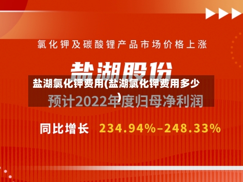 盐湖氯化钾费用(盐湖氯化钾费用多少)