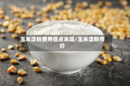 玉米淀粉费用低点未现/玉米淀粉市价-第2张图片