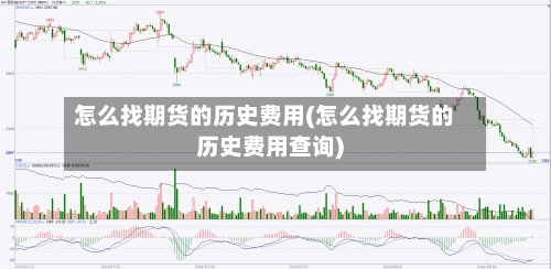 怎么找期货的历史费用(怎么找期货的历史费用查询)-第3张图片