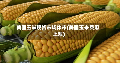 美国玉米现货市场休市(美国玉米费用上涨)