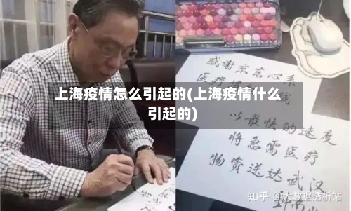 上海疫情怎么引起的(上海疫情什么引起的)-第2张图片