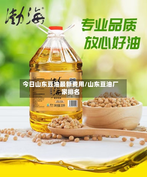 今日山东豆油最新费用/山东豆油厂家排名