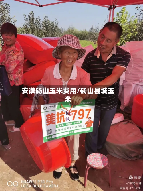 安徽砀山玉米费用/砀山县城玉米-第2张图片