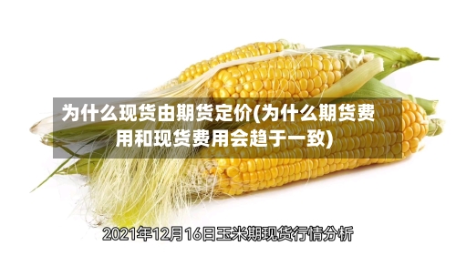 为什么现货由期货定价(为什么期货费用和现货费用会趋于一致)