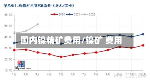 国内镍精矿费用/镍矿 费用-第2张图片