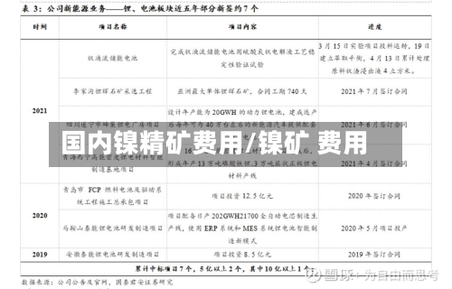 国内镍精矿费用/镍矿 费用-第3张图片
