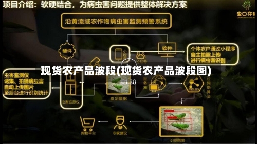 现货农产品波段(现货农产品波段图)-第2张图片