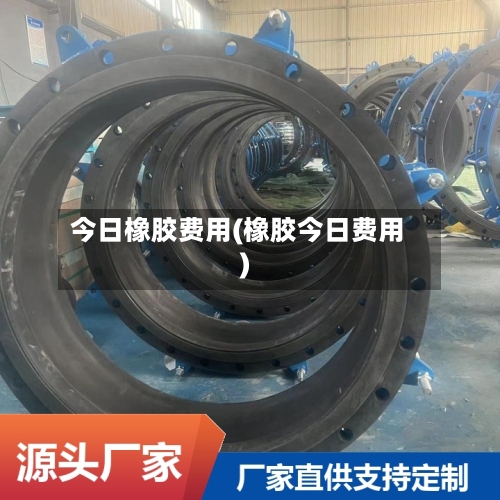 今日橡胶费用(橡胶今日费用)-第2张图片