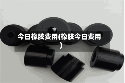 今日橡胶费用(橡胶今日费用)-第1张图片
