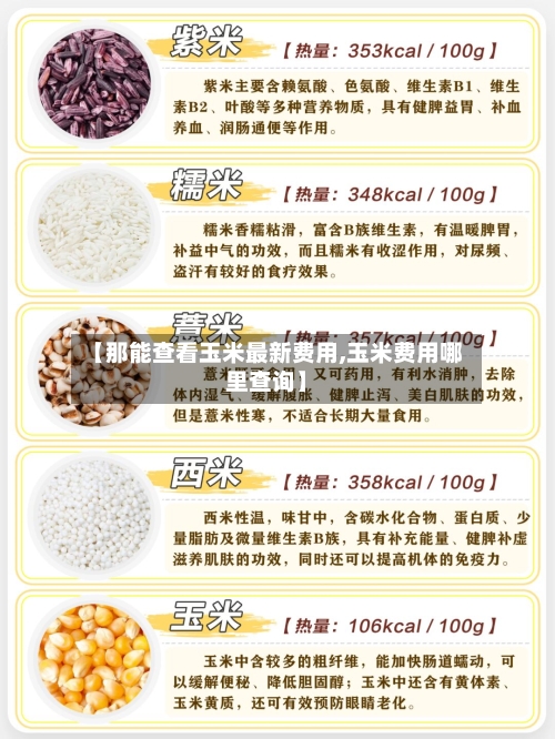 【那能查看玉米最新费用,玉米费用哪里查询】-第2张图片