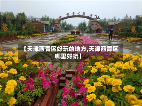 【天津西青区好玩的地方,天津西青区哪里好玩】-第1张图片