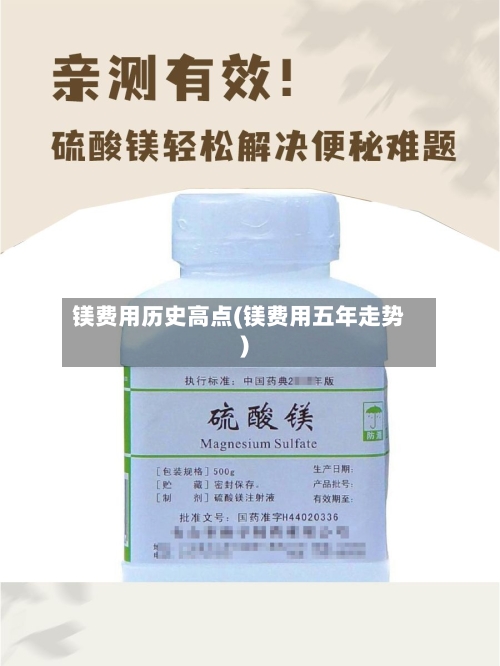 镁费用历史高点(镁费用五年走势)-第2张图片