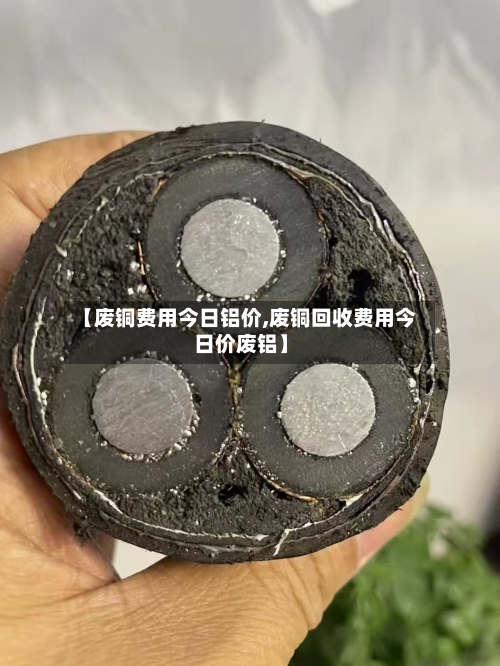 【废铜费用今日铝价,废铜回收费用今日价废铝】-第3张图片