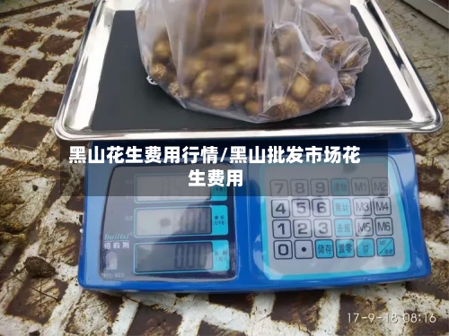 黑山花生费用行情/黑山批发市场花生费用-第3张图片