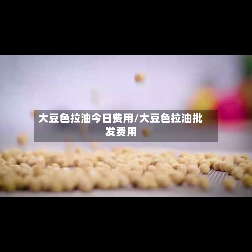 大豆色拉油今日费用/大豆色拉油批发费用-第2张图片