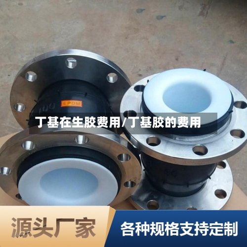 丁基在生胶费用/丁基胶的费用-第2张图片
