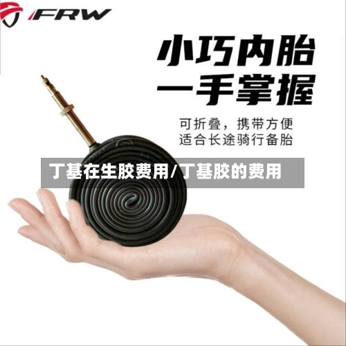丁基在生胶费用/丁基胶的费用