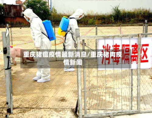 重庆猪瘟疫情最新消息/重庆猪肉疫情新闻-第2张图片