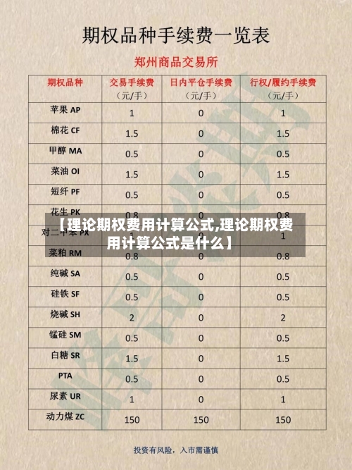 【理论期权费用计算公式,理论期权费用计算公式是什么】