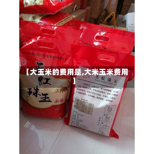 【大玉米的费用是,大米玉米费用】-第2张图片