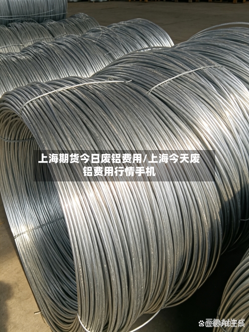 上海期货今日废铝费用/上海今天废铝费用行情手机-第3张图片