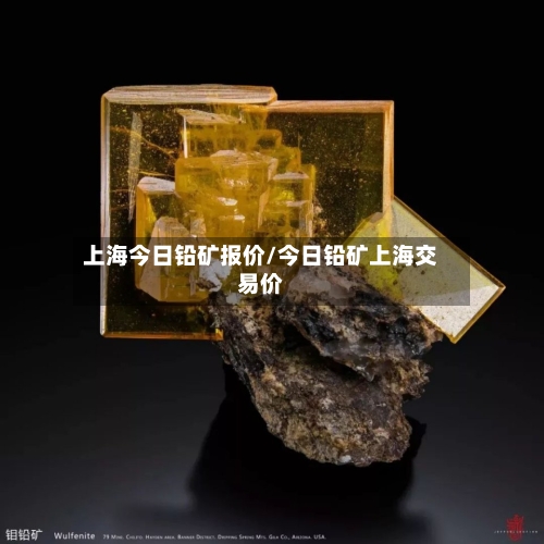上海今日铅矿报价/今日铅矿上海交易价-第2张图片