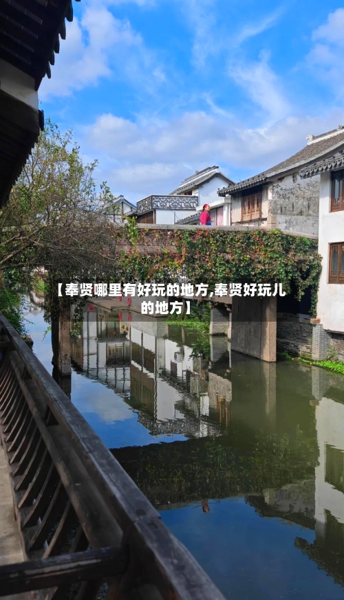 【奉贤哪里有好玩的地方,奉贤好玩儿的地方】