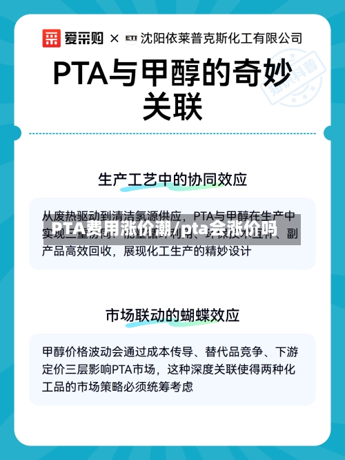 PTA费用涨价潮/pta会涨价吗