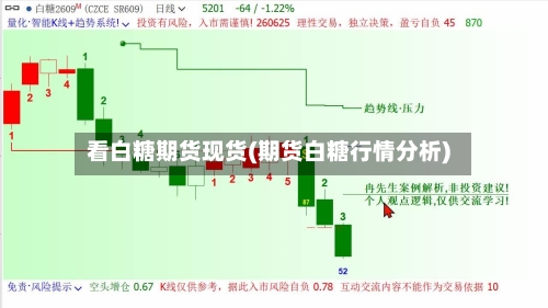 看白糖期货现货(期货白糖行情分析)