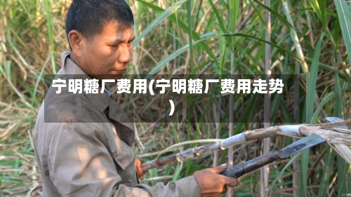 宁明糖厂费用(宁明糖厂费用走势)