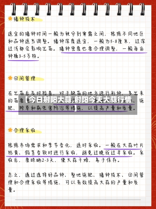 【今日射阳大蒜,射阳今天大蒜行情】-第2张图片