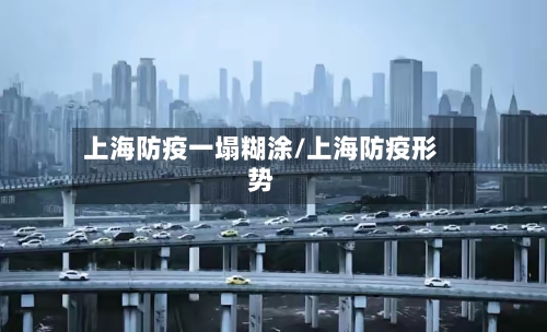 上海防疫一塌糊涂/上海防疫形势-第2张图片