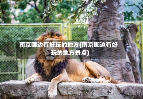 南京哪边有好玩的地方(南京哪边有好玩的地方景点)