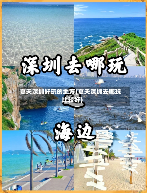夏天深圳好玩的地方(夏天深圳去哪玩比较好)