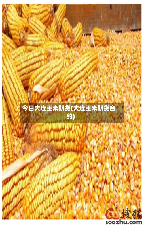 今日大连玉米期货(大连玉米期货合约)