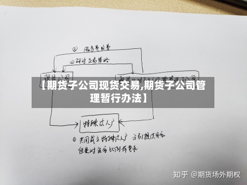 【期货子公司现货交易,期货子公司管理暂行办法】-第3张图片