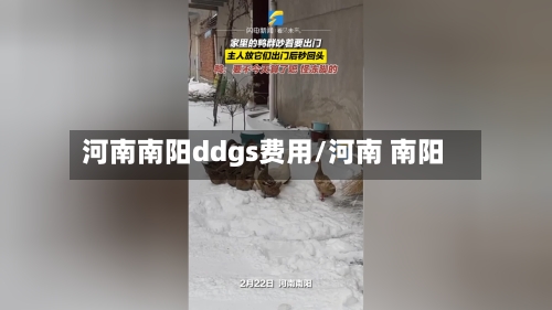 河南南阳ddgs费用/河南 南阳-第3张图片