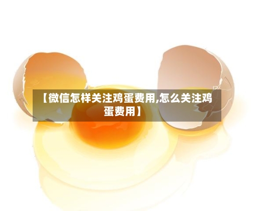【微信怎样关注鸡蛋费用,怎么关注鸡蛋费用】