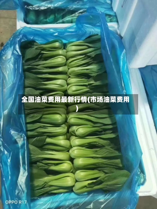 全国油菜费用最新行情(市场油菜费用)