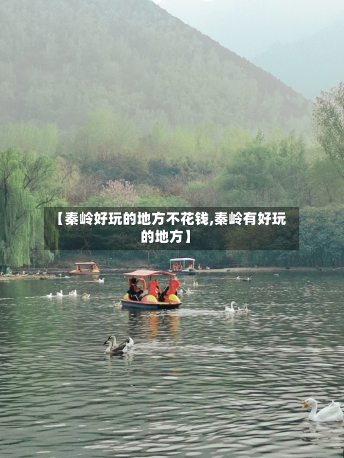 【秦岭好玩的地方不花钱,秦岭有好玩的地方】