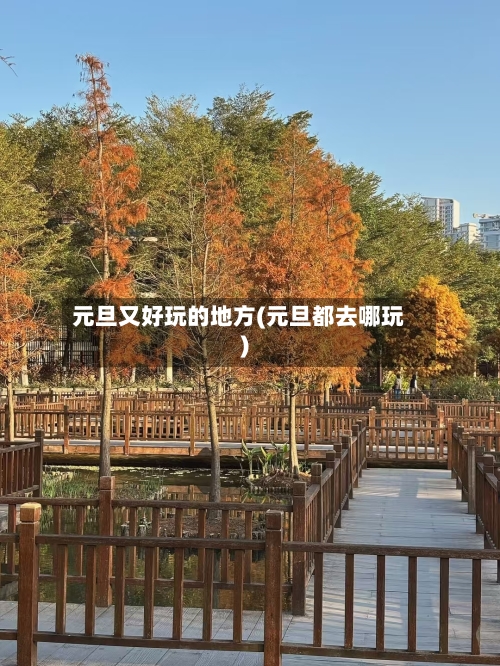 元旦又好玩的地方(元旦都去哪玩)-第3张图片