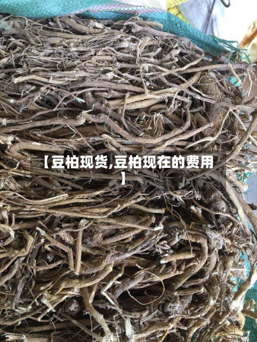 【豆柏现货,豆柏现在的费用】